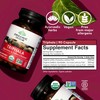 ORGANIC INDIA Triphala Herbal Supplement - Digestion & Colon Support,