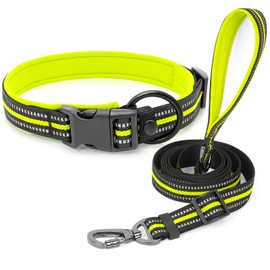 HIGO Reflective Dog Collar and Leash Set for Large Dog, Nylon Webbing Pet Collar& Leash with Neoprene Padded, Adjustable Basic Dog Collar and Leash, Safety Dog Accessories for Night Walking (Green, L)
