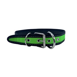 Collar para Perro De Naylon Resistente Entrenamiento Y Paseos Cómodos (Verde Fosfo, Extragrande)