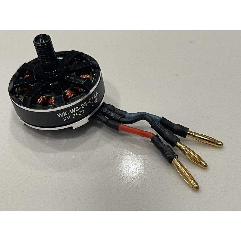 Walkera F210 Brushless motor(CW )(WK-WS-28-014