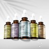 Dr. Ogiderm Expert Ampoule 30ml 5 Types: Hydration Serum, Firming,