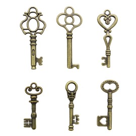 Salome Idea Skeleton Key Charm Set in Antique Bronze (48 Charms) 6 Styles - Vintage Style Key Charms (Bronze Color)