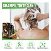 Shampoo Tinte Instantaneo Cubre Canas Extracto Plantas 500ml