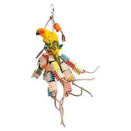 Zoo-Max Groovy Gizmo Bird Toy