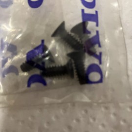 Volvo Genuine Volvo Flange Screw 30624573.  The Price Is For One.