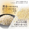 Ishibashi Kogyo Kyushu-grown Glutinous Wheat 800g