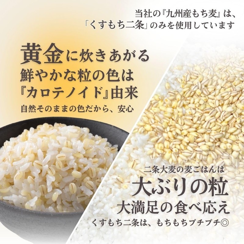 Ishibashi Kogyo Kyushu-grown Glutinous Wheat 800g