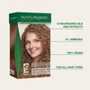 Naturigin Permanent Hair Color, 7.0 Medium Blonde, Ammonia Free, 100%