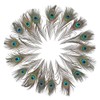36 PCS Real Natural Peacock Eye Feathers 10-12 inch for