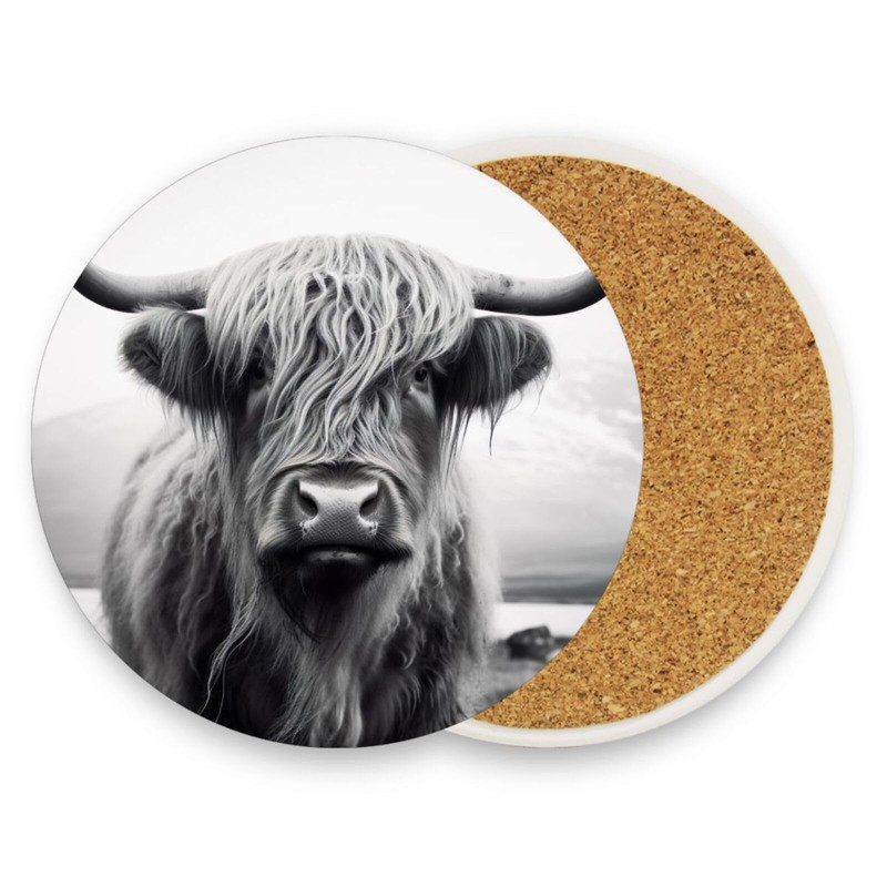 Vibiliyou 4PCS Coasters with Cork Base Desktop Protection Mat Absorbent