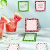 9 Pieces Summer Watermelon Sticky Notes Adhesive Cute Watermelon Memo