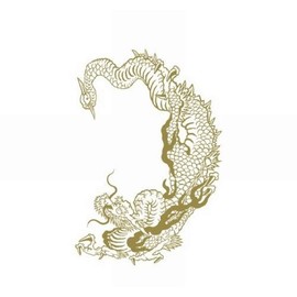 Festival Makeup R226 Golden Dragon (17.5cm x 10cm)
