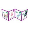 Junior Learning: Rainbow Phonics: Phoneme Poster - Visuals Represent Word