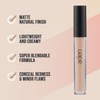 aden Liquid Concealer Multipurpose concealer that illuminates, corrects and perfects