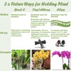 EESC2Y 10-PCs 15-3/4" Plastic Coated Orchid Stakes for Plants Support,