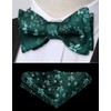 HISDERN Mens Green Bow Tie Set Wedding Floral Selt Tie