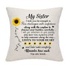 DANKHRA Sister Gifts from Brother Throw Pillow Cover - Pillowcase