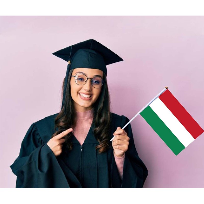 10 PCS Hungary Handheld Small Flag, Hungarians Hand held Mini