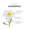 Recovery + Sleep Bath & Shower Oil with Roman Chamomile