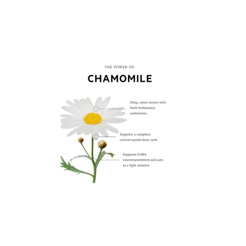 Recovery + Sleep Bath & Shower Oil with Roman Chamomile