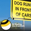 Bigtime Reflective Dog Slow Down Signs - Durable Metal Caution