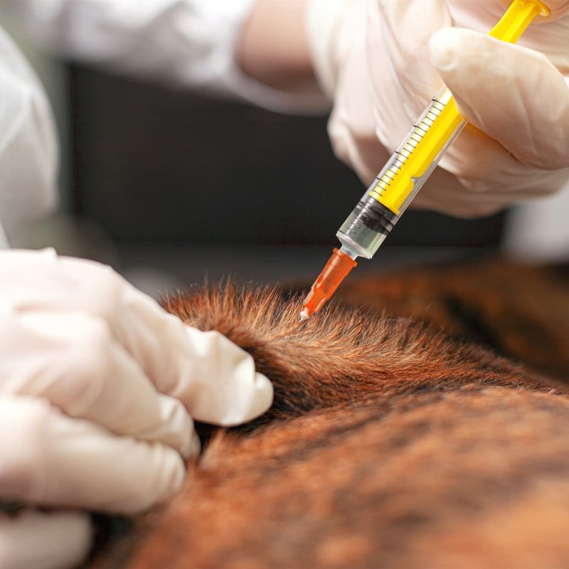 100Pack 25Ga 1 Inch/25mm Disposable Lab Utensils Individually Sealed Wrapped