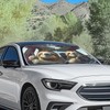 Bulopur Front Sun Shade for Car Funny Driving Sloth Windshield