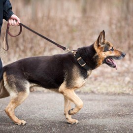PET ARTIST Genuine Leather Dog Collar and Leash Set, Soft Padded with Metal Buckle, Strong, Cozy, Luxurious Collar for Medium & Large Dogs, Brown M