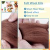 YESTARTDS Felt Wool Set Fairy Tale Wool 10 Colours 10