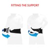 Vulkan Classic Back Support, XX-Large, 110cm Plus, Lumbar Support Brace