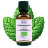 Sala Pfefferminzöl Aroma mentha piperita ätherisches Öl BIO - zum