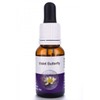 Living Essences Violet Butterfly Flower Essence 50 ml