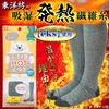 LEC Polar Bear HOT Socks, Ultra Thin, High Socks, Size