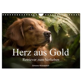 Herz aus Gold - Retriever zum Verlieben (Wandkalender 2026 DIN A4 quer), CALVENDO Monatskalender: Golden Retriever - ein Jahr in Bildern. (CALVENDO Tiere)