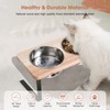 Siooko Elevated Cat Bowls, 15° Tilted Raised Cat Food Bowls