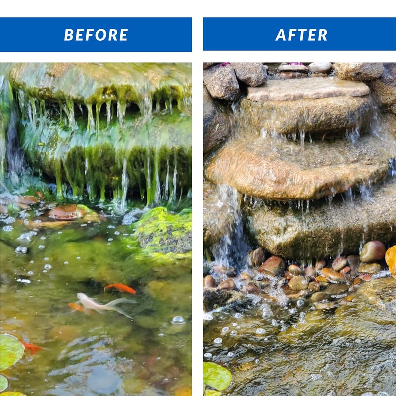 CrystalClear Algae D-Solv Pond Algae Control, Fast-Acting EPA Registered Algaecide,