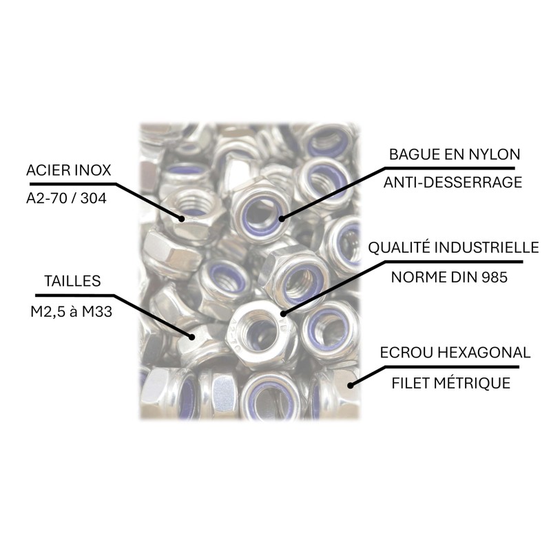 ProRaje Pack of 10 NYLSTOP Nuts M6 Stainless Steel Undelayed