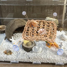 FWUNYVN Hermit Crab Climbing Toys,Lizard Seagrass Mat,Hermit Crab Hammock with Suction Cups,Hermit Crab Supplies Decor Habitat,Small Reptile Tank Accessories for Guinea Pigs Hamsters Geckos (Square)