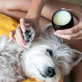 Essential Dog Natural Nose & Paw Balm for Dogs, 50g
