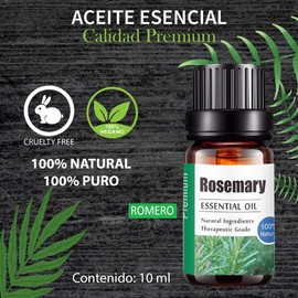 Aceites Esenciales de Romero Aromaterapia - Natural 100% de Aceite Esencial Natural Conjunto de Difusores y Humidificadores con Caja de Regalo Exquisita (UVa Natural, 10 ML) (Romero)