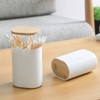 Toothpick Dispenser Toothpick Holder, Pop-Up Automatic Toothpick Dispenser with Easy-Lift