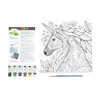 Royal and Langnickel Canvas Art Paint Kit 10 inch x
