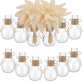 Bokon 12 Jarrones de Plástico para Capullos a Granel para Centros de Mesa Jarrones de 12 cm para Cultivar Aguacate Jacinto Pequeños Recipientes para Bulbos Flores Decorar Mesas de Bodas