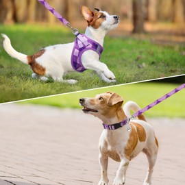 SCENEREAL Dog Harness Collar and Leash Set, Step-In No Pull Pet Vest Harnesses for Small Medium Dogs Puppy Cats, Soft Mesh No-Chock Reflective Vest Harness for Outdoor Walking Running, Purple Plaid XS