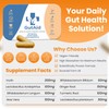 Gut Aid Probiotics for Gut Health - Bio Cultures Complex