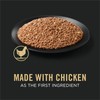 Purina Pro Plan Wet Puppy Food Pate, Wet Food Classic