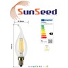 SUNSEED 10x Filament LED Flame Lamp E14 6 W Replaces
