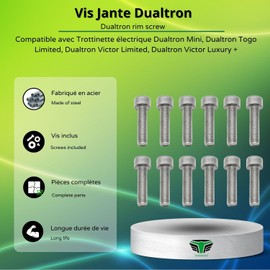 M365Lyon - Motorised Rim Bolt Dualtron Mini, Dualtron Togo Limited, Dualtron Victor Limited, Dualtron Thunder 3 (12 Screws)