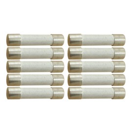 YOLISTIC 15 Amp Slow-Blow Time Delay Fuse Ceramic 6.35x31.75mm(1/4" x 1-1/4") (Pack of 10)