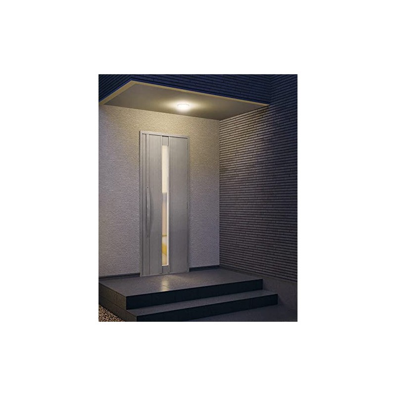 Oderik OG254873R LED Bathroom Light, High Color Rendering, Non-dimmable, Incandescent